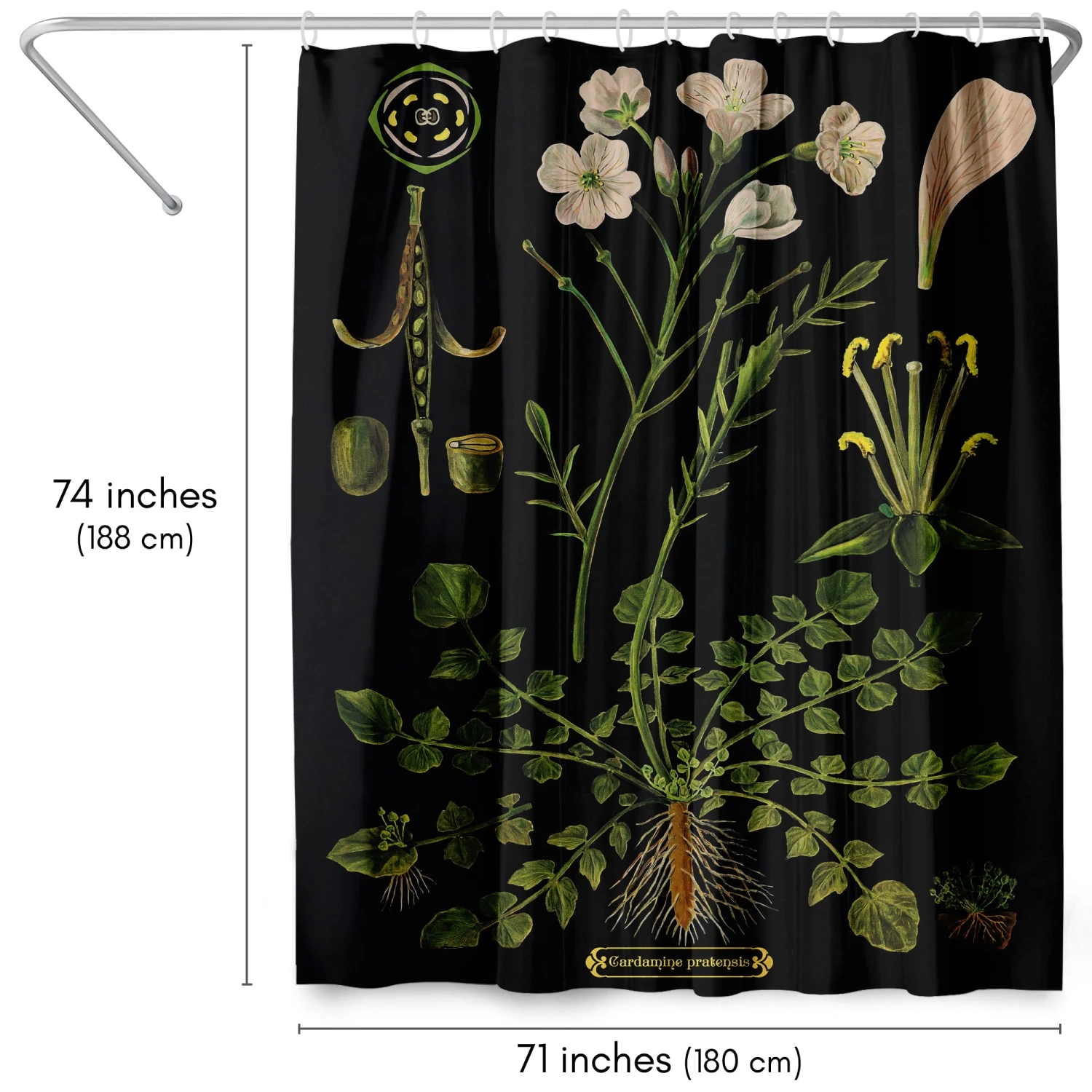 71x74 Botanical Shower Curtain With 12 Metal Grommets | Cuckoo Flower - Image 2